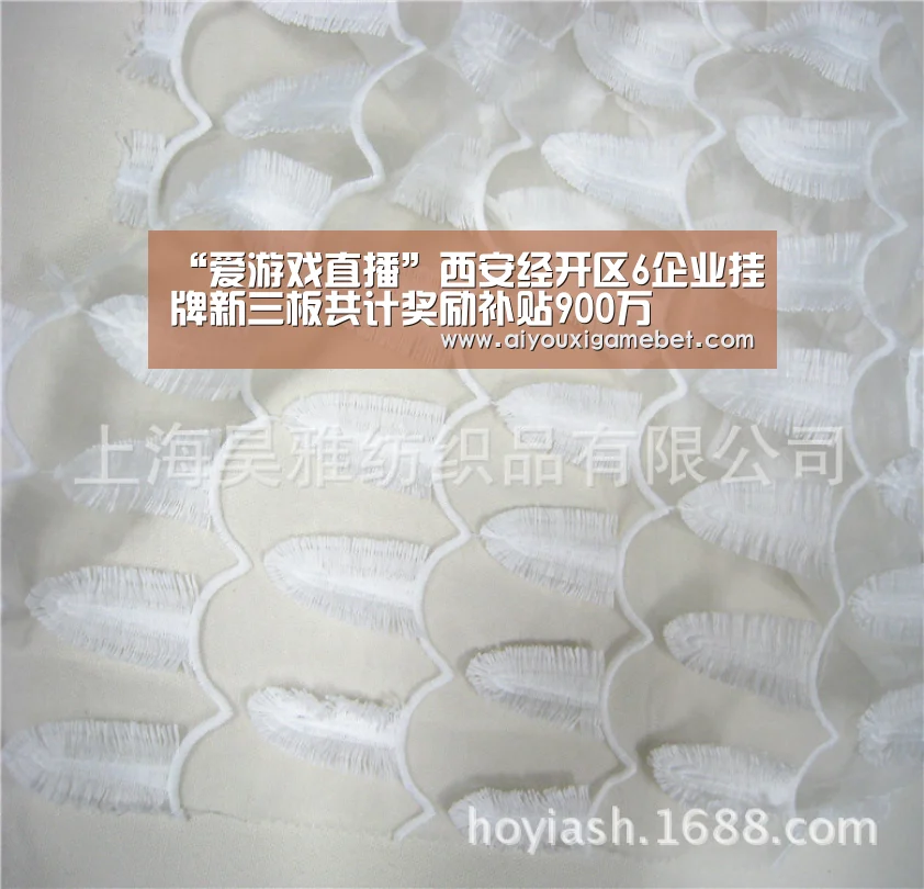 爱游戏视讯
