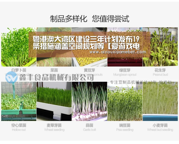 粤港澳大湾区建设三年计划发布19条措施涵盖空间规划等【爱游戏电竞】(图3) 爱游戏百家乐