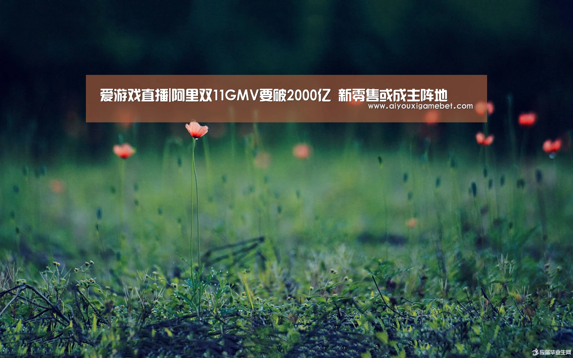 爱游戏视讯