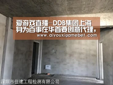爱游戏视讯