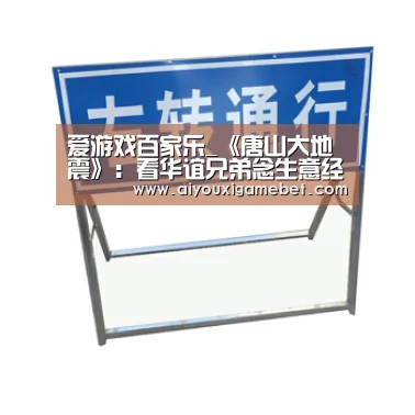 爱游戏视讯