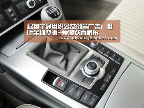 爱游戏视讯