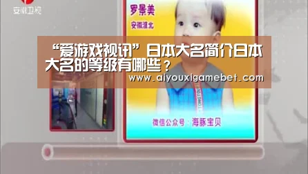 “爱游戏视讯”日本大名简介日本大名的等级有哪些?(图3) 爱游戏直播