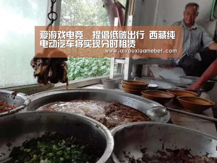 爱游戏电竞_
提倡低碳出行 西藏纯电动汽车将实现分时租赁(图2) 爱游戏视讯
