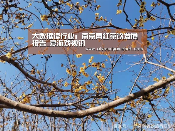 大数据读行业:南京网红茶饮发展报告_爱游戏视讯(图1) 爱游戏百家乐