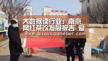大数据读行业:南京网红茶饮发展报告_爱游戏视讯(图4) 爱游戏百家乐