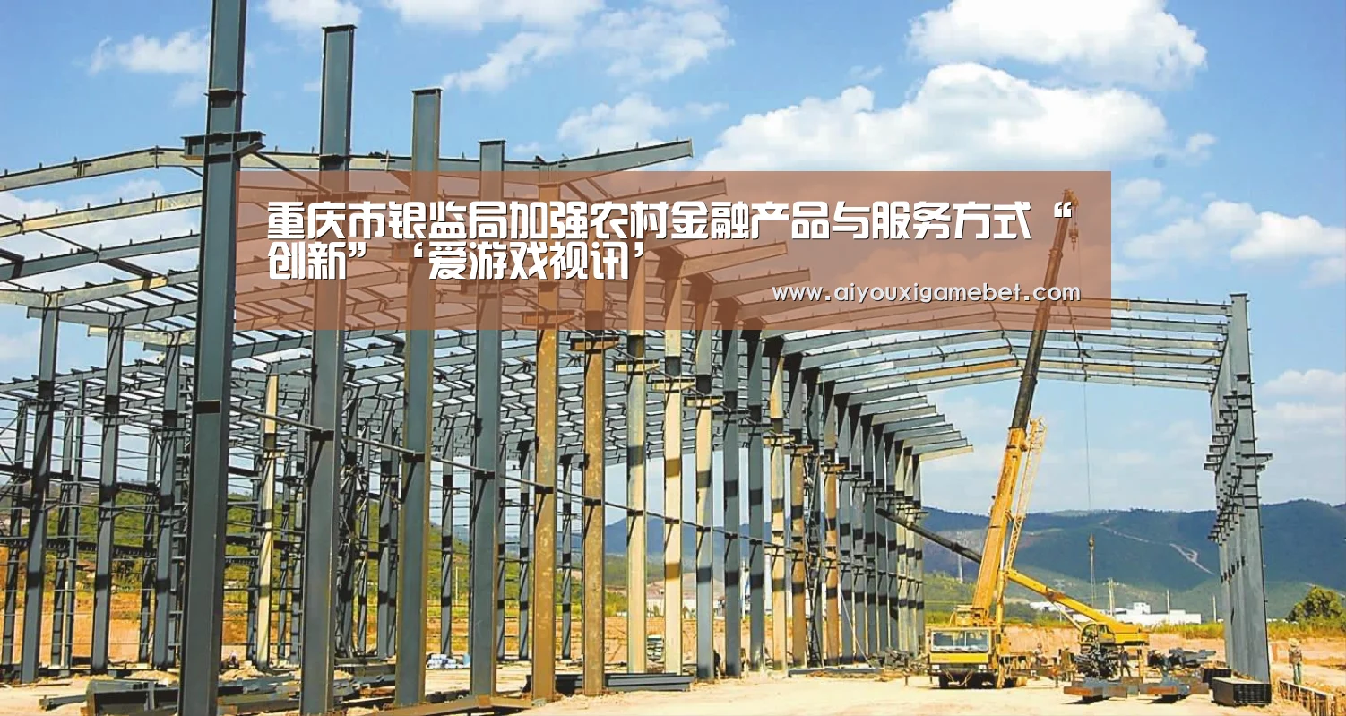 重庆市银监局加强农村金融产品与服务方式“创新”‘爱游戏视讯’(图3) 爱游戏百家乐