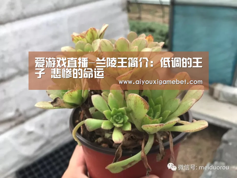 爱游戏直播-兰陵王简介:低调的王子 悲惨的命运(图1) 爱游戏直播