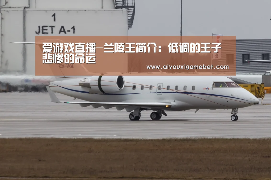 爱游戏直播-兰陵王简介:低调的王子 悲惨的命运(图2) 爱游戏直播