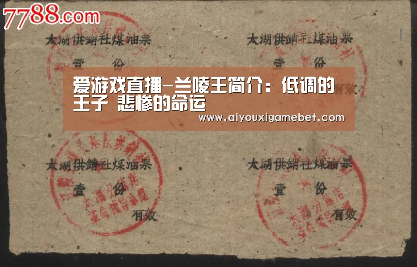 爱游戏直播-兰陵王简介:低调的王子 悲惨的命运(图4) 爱游戏视讯
